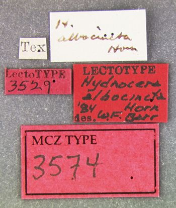 Media type: image;   Entomology 3574 Aspect: labels